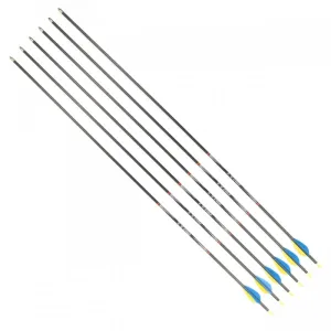 Set karbonskih puščic CARBON 32/900, 6 kom/paket