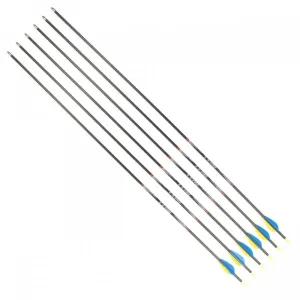 Set karbosnkih puščic CARBON TYRO 30/700, 6 kom/paket